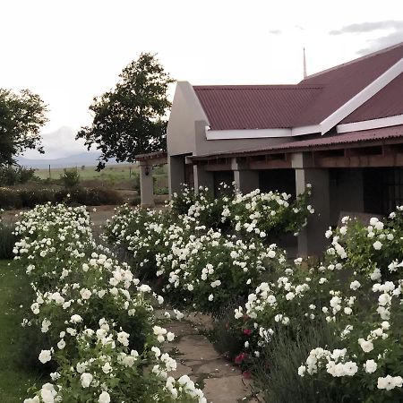 Mountain View Country Guest House Cradock Exteriér fotografie