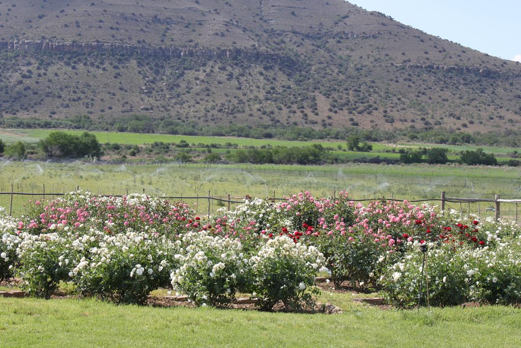 Mountain View Country Guest House Cradock Exteriér fotografie