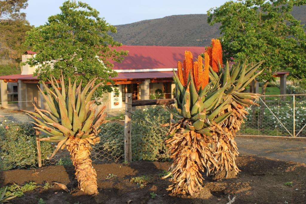 Mountain View Country Guest House Cradock Exteriér fotografie