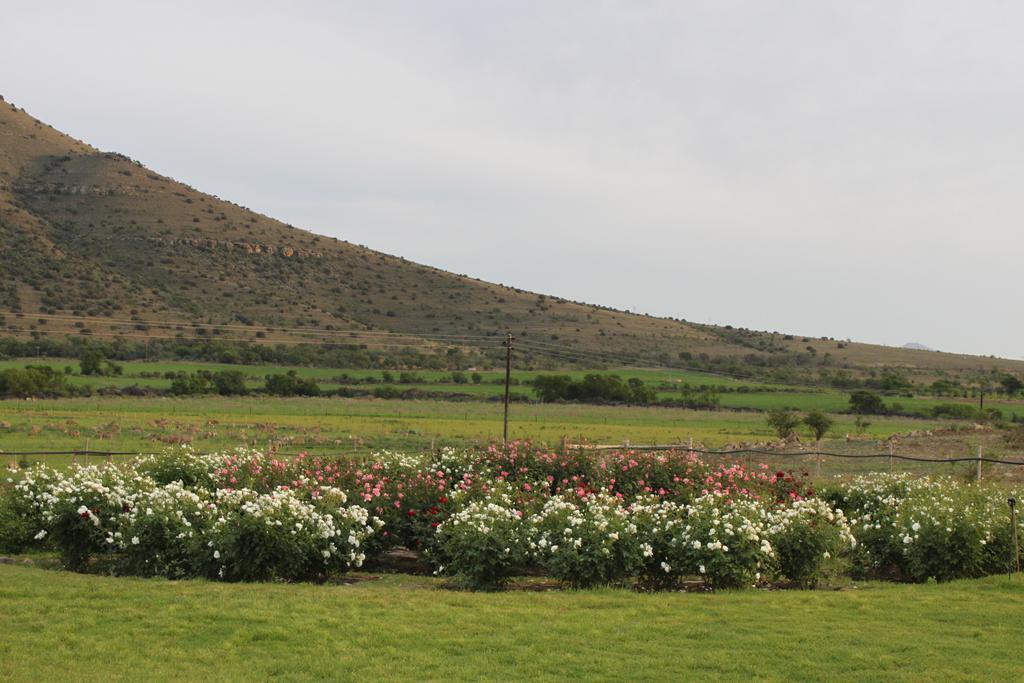 Mountain View Country Guest House Cradock Exteriér fotografie