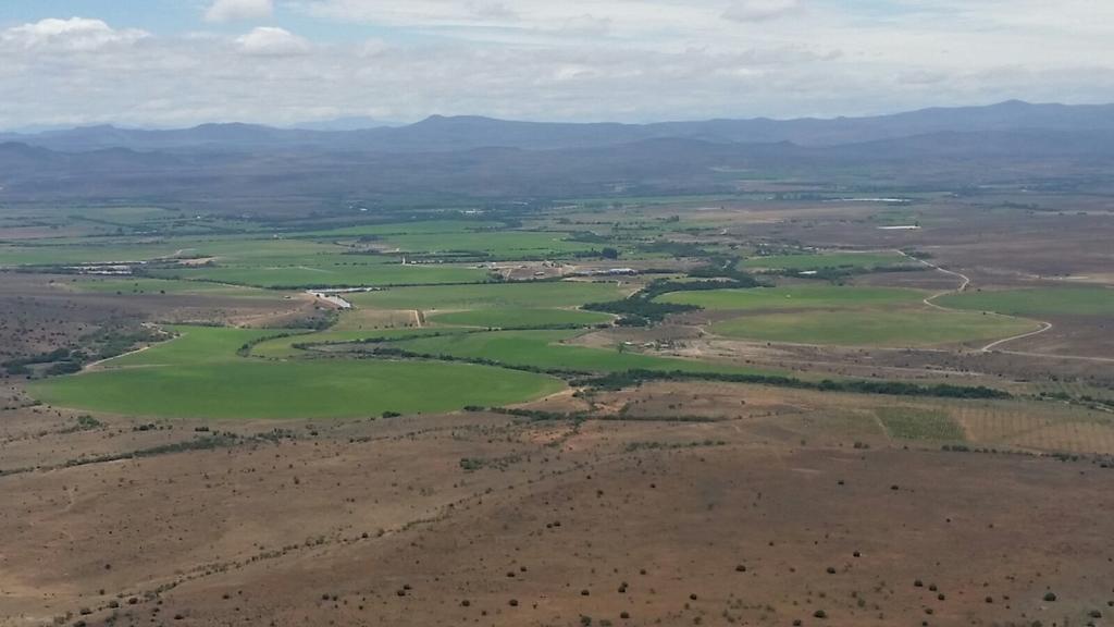 Mountain View Country Guest House Cradock Exteriér fotografie