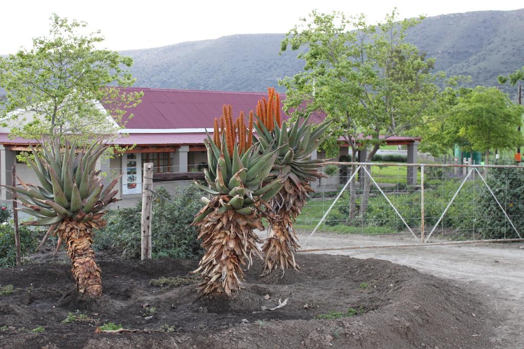 Mountain View Country Guest House Cradock Exteriér fotografie