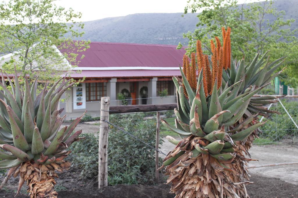 Mountain View Country Guest House Cradock Exteriér fotografie