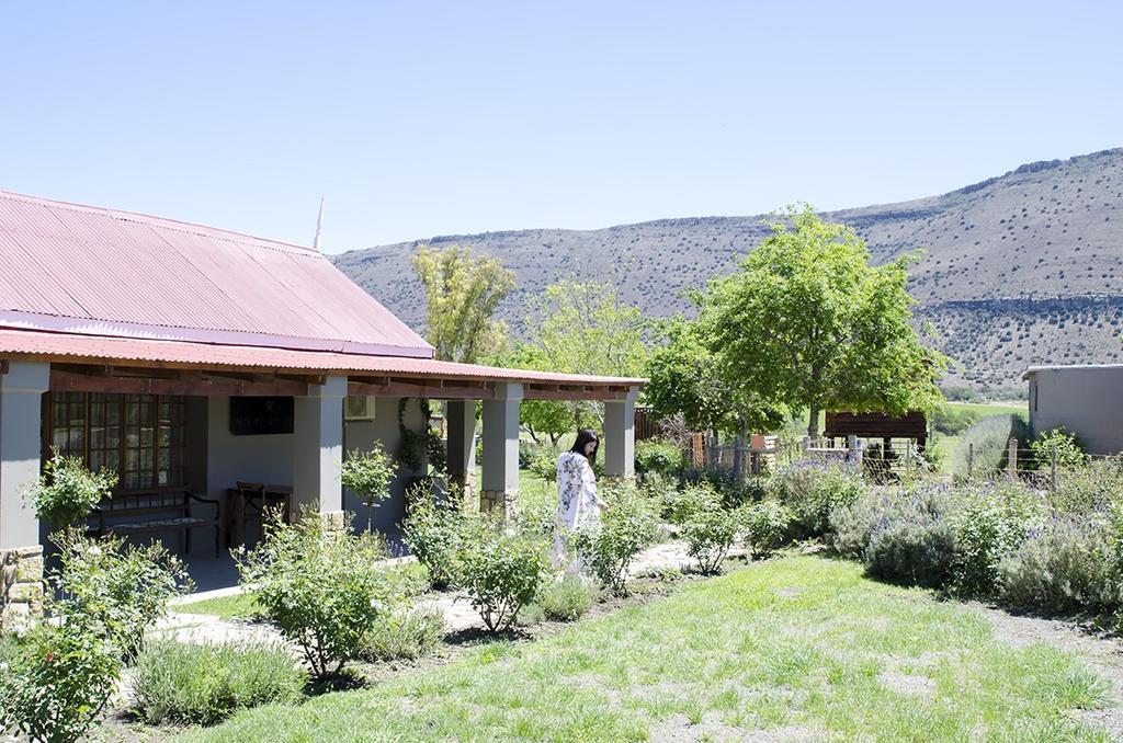 Mountain View Country Guest House Cradock Exteriér fotografie