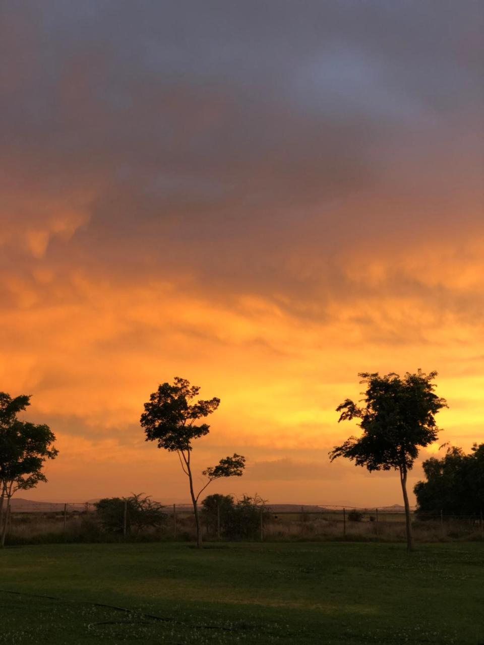 Mountain View Country Guest House Cradock Exteriér fotografie