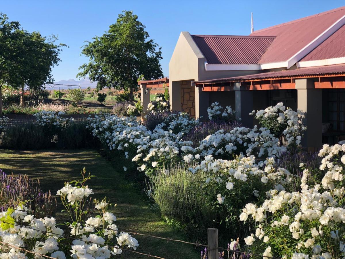 Mountain View Country Guest House Cradock Exteriér fotografie